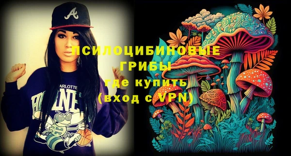 молекула духа Бронницы